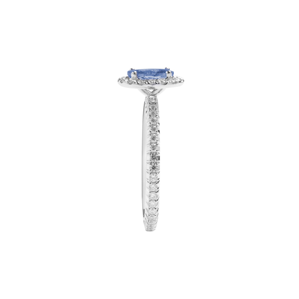 
                  
                    Load image into Gallery viewer, Oval shaped sapphire halo diamond ring in 18k white gold
                  
                
